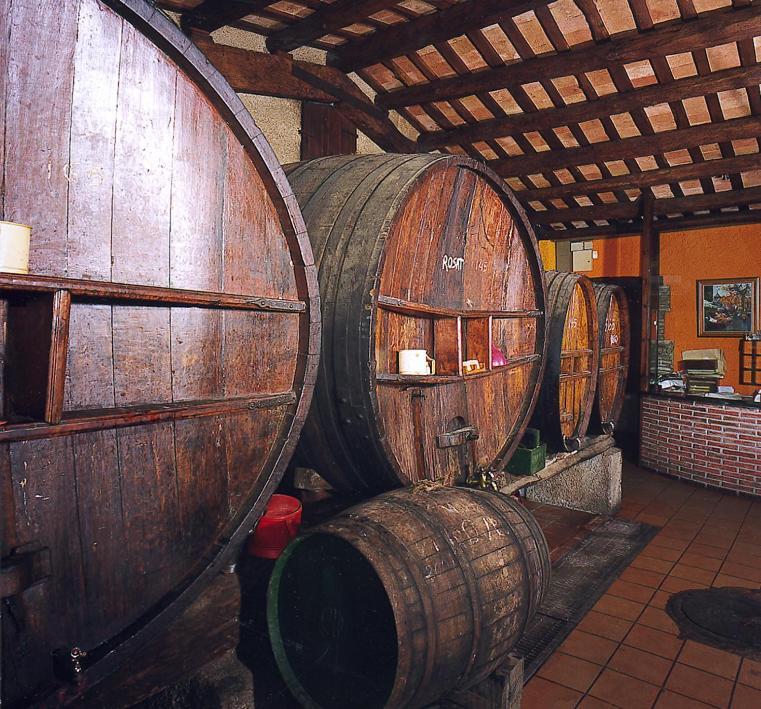 Hostal Mallorquines Riudarenes Εξωτερικό φωτογραφία